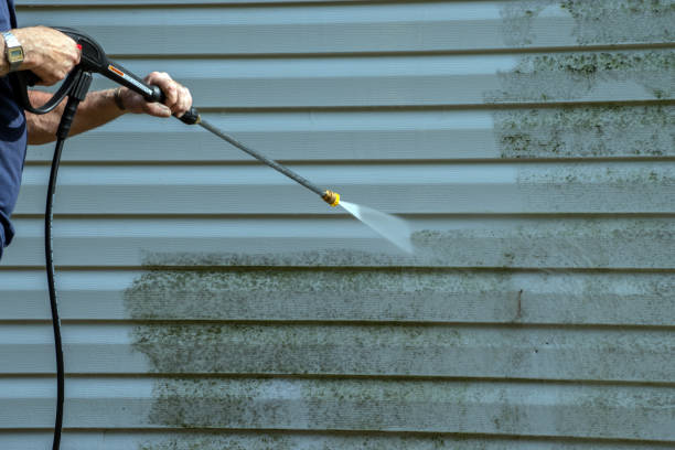 Professional  Pressure Washing Services in Allison Park, PA